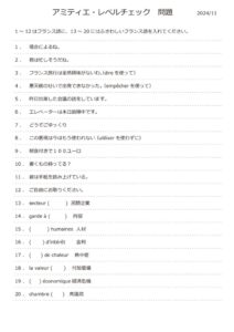 アミティエ・レベルチェック2024年11月のサムネイル